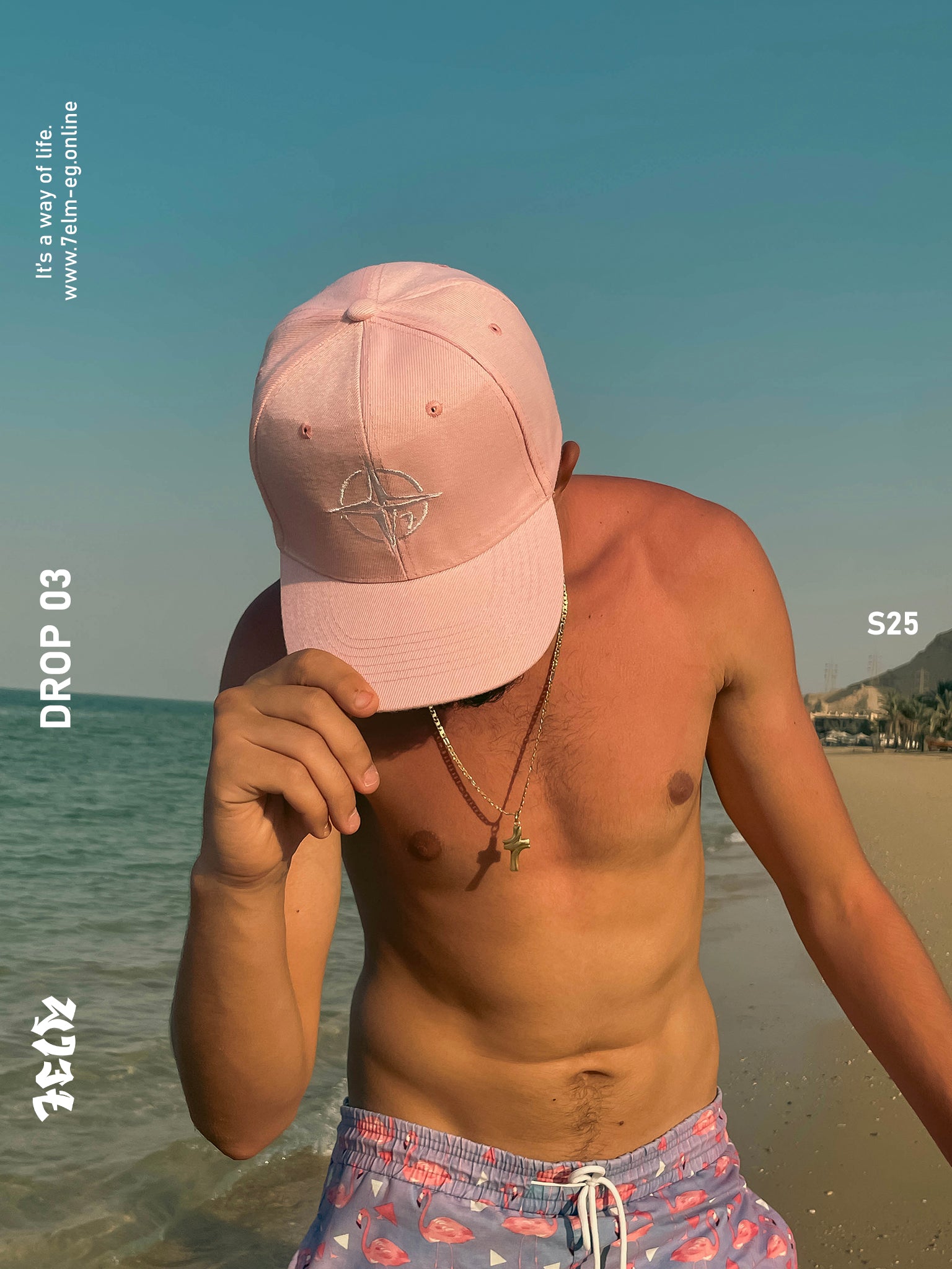 Pink Compass Cap